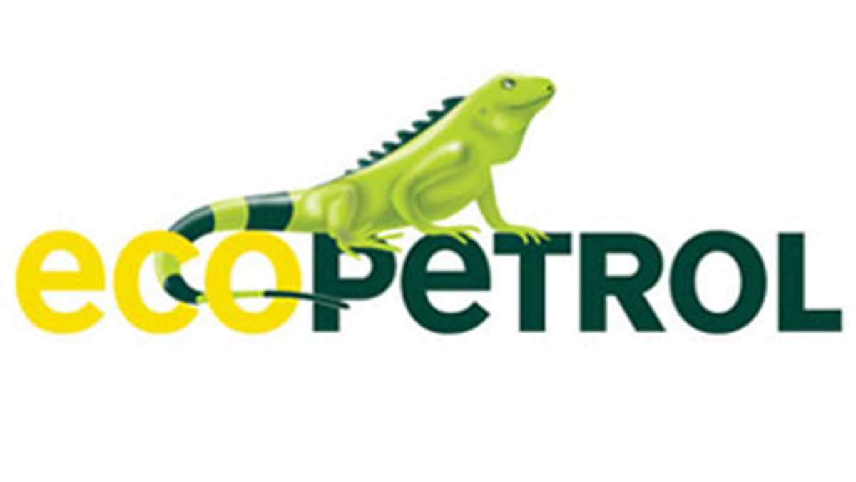 Los accionistas de Ecopetrol recibirán en 2011 un dividendo de $145 por acción que serán pagados en tres cuotras trimestrales así: $49 por acción a partir del 25 de abril, $48 por acción a partir del día 25 de julio y $48 por acción a partir del día 15 de diciembre de 2011.