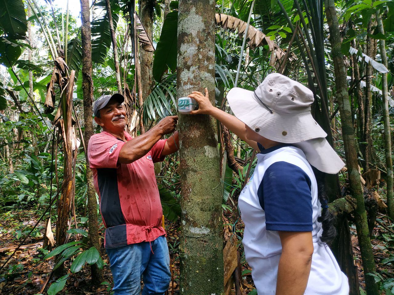 Monitoreo acústico de la biodiversidad en los proyectos de forestería comunitaria del Guaviare