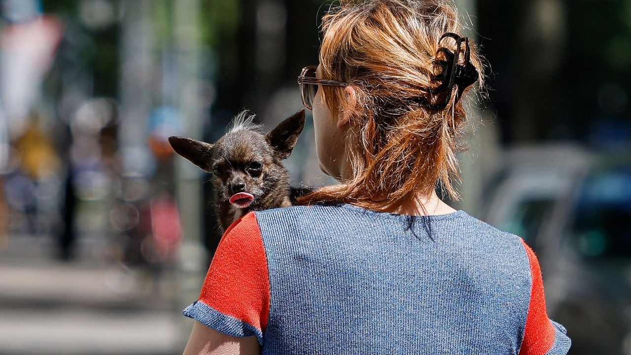 A woman carries a dog on May 31, 2021 as the sun shines in Berlin's Kreuzberg district. (Photo by David GANNON / AFP)