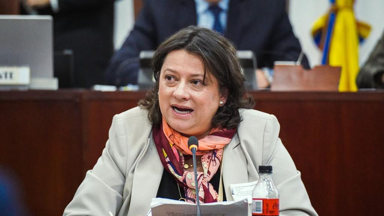 Directora ejecutiva de Gestarsalud, Carmen Eugenia Dávila.