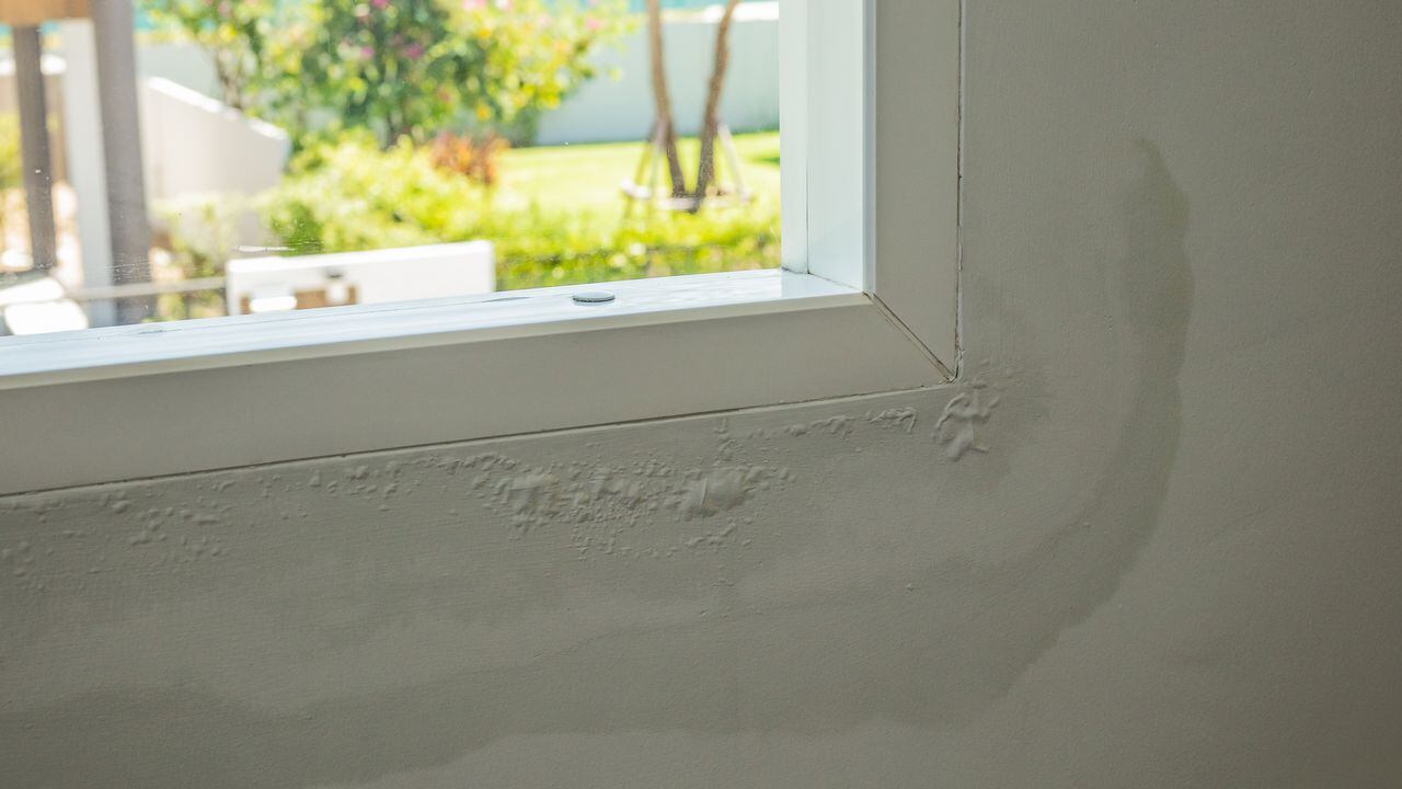 Guía paso a paso para eliminar la humedad de las paredes sin esfuerzo