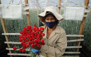 Producción y comercialización de flores en Tocancipá  Ayurá S.A.S.
Feb 3 del 2021
Foto Guillermo Torres Reina / Semana