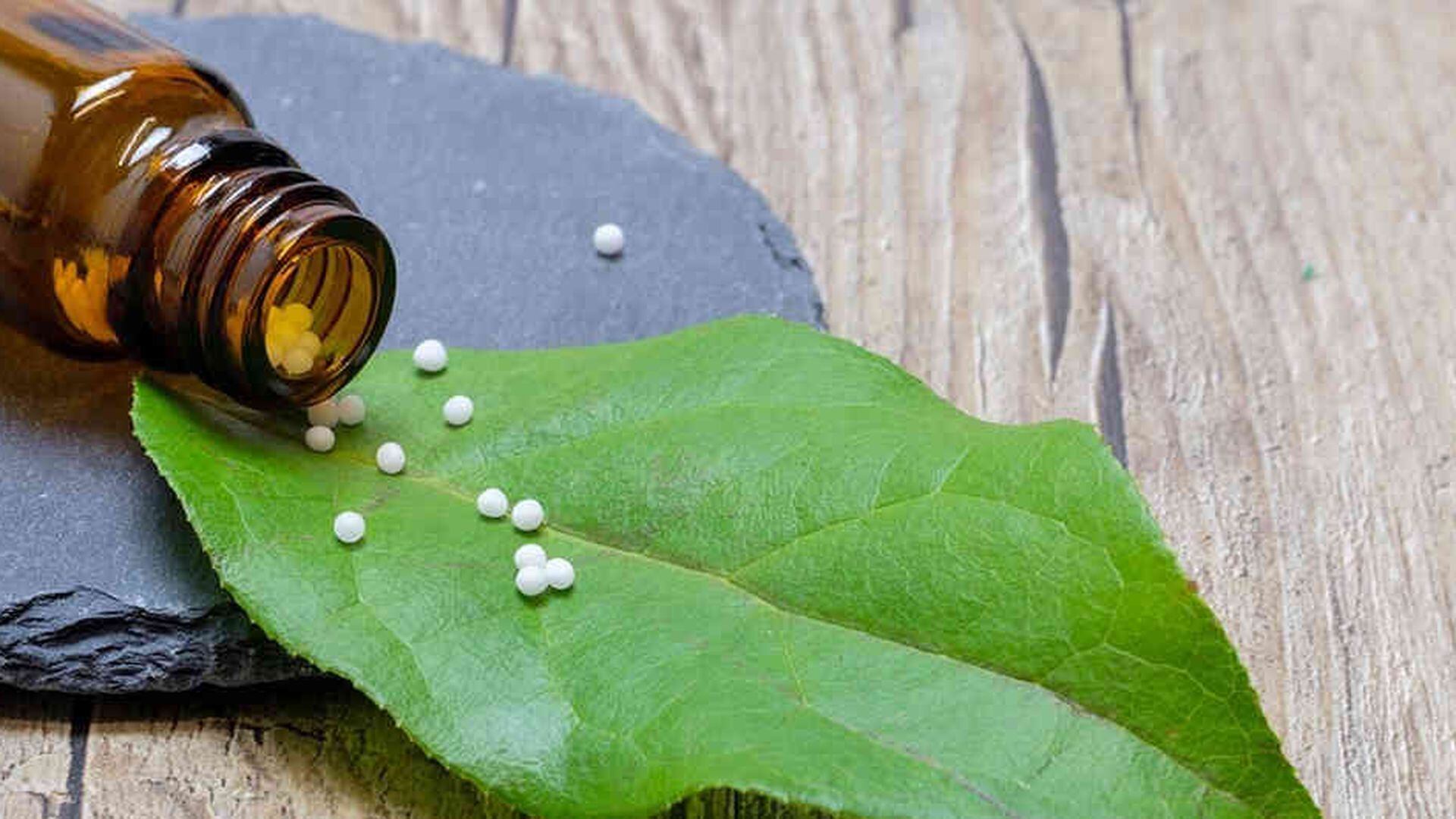 Definición de la Homeopatía en la RAE. Un Sistema Curativo - Hablando de  Homeopatía