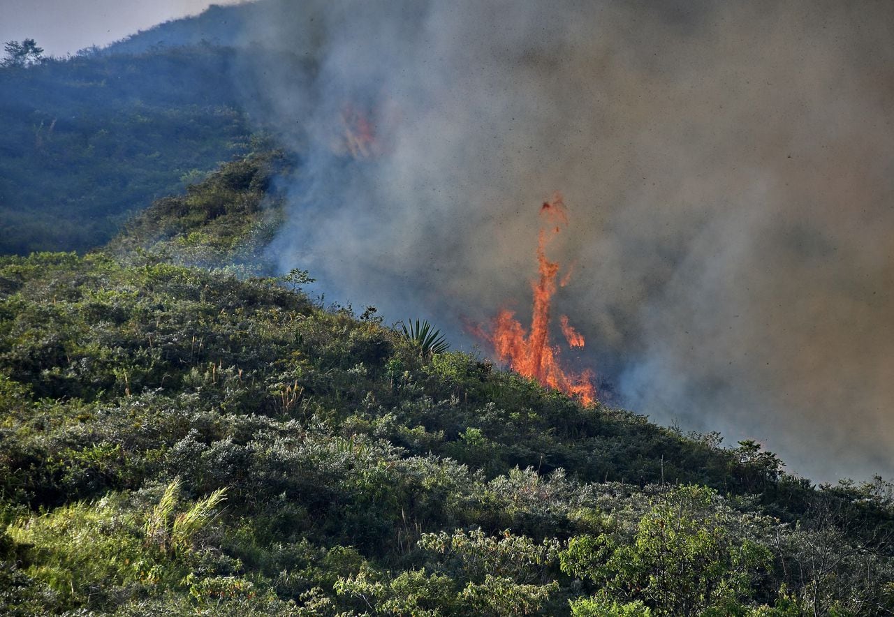 incendio forestal amenaza al jardín Botánico de Cali