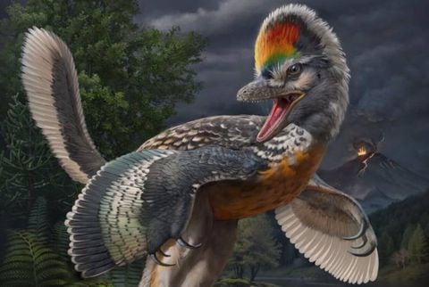 Reconstrucción de la vida del terópodo aviano Fujianvenator prodigiosus de 150 millones de años