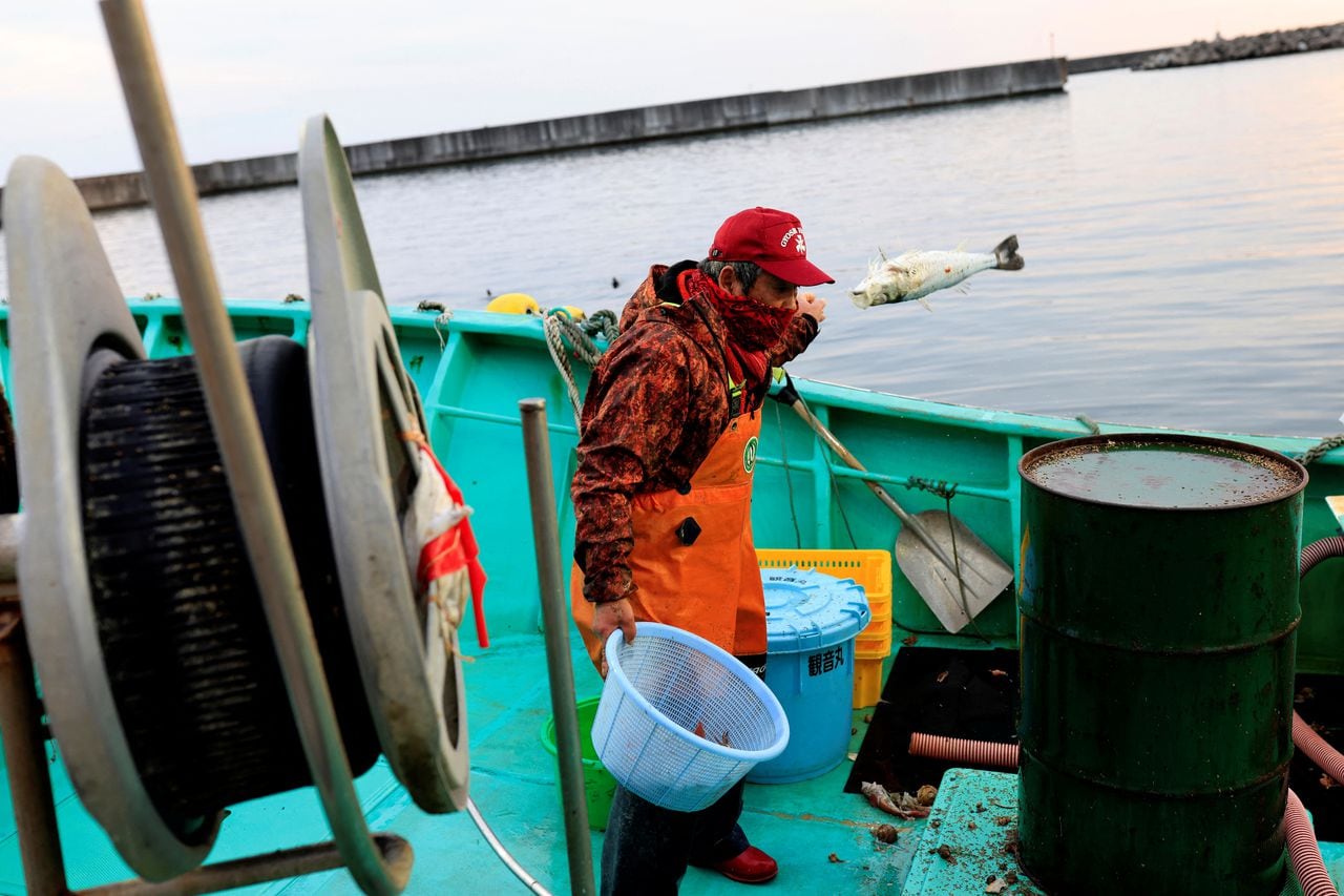 El pescador Haruo Ono, de 71 años, arroja al mar una lubina japonesa que estaba dañada y no podía volver a venderse, en el puerto pesquero de Tsurishihama en Shinchimachi, a unos 55 km de la planta de energía nuclear inhabilitada Fukushima Dai-ichi