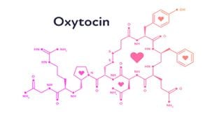 La oxitocina es la denominada hormona del amor. Foto GettyImages.