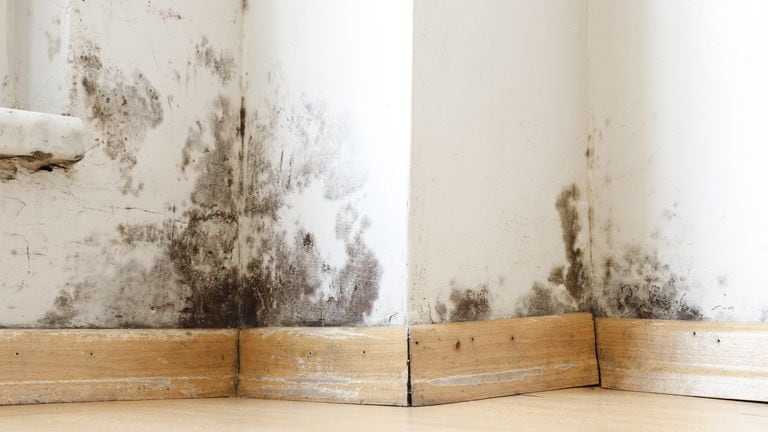 La humedad puede dañar la pintura de las paredes.