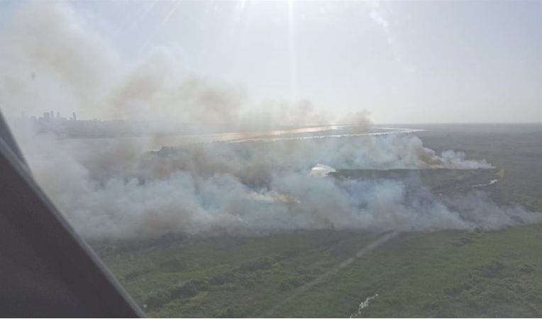 El incendio en el Vía Parque Isla de Salamanca fue controlado en su totalidad.