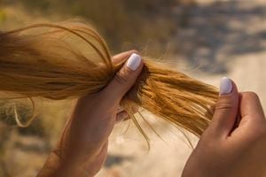 Existen diversos productos caseros que ayudan a´mejorar la condición del cabello seco.
