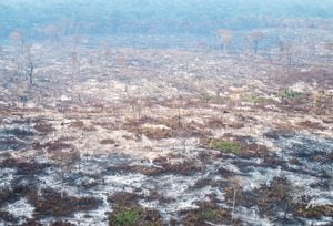 Ya son más de 15 mil las hectáreas afectadas por los incendios en el Guaviare