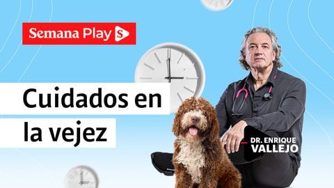 Cuidados en la vejez | Enrique Vallejo en Salud Animal