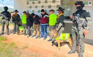 Una mujer y dos hombres, serán los primeros colombianos en ser extraditados a los Estados Unidos por usar pieles de animales silvestres y en vía de extinción, para hacer bolsos.