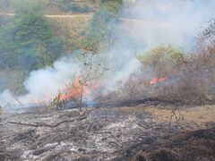 Incendio forestal que se presentó este sábado, 2 de marzo, en el municipio de Vijes.