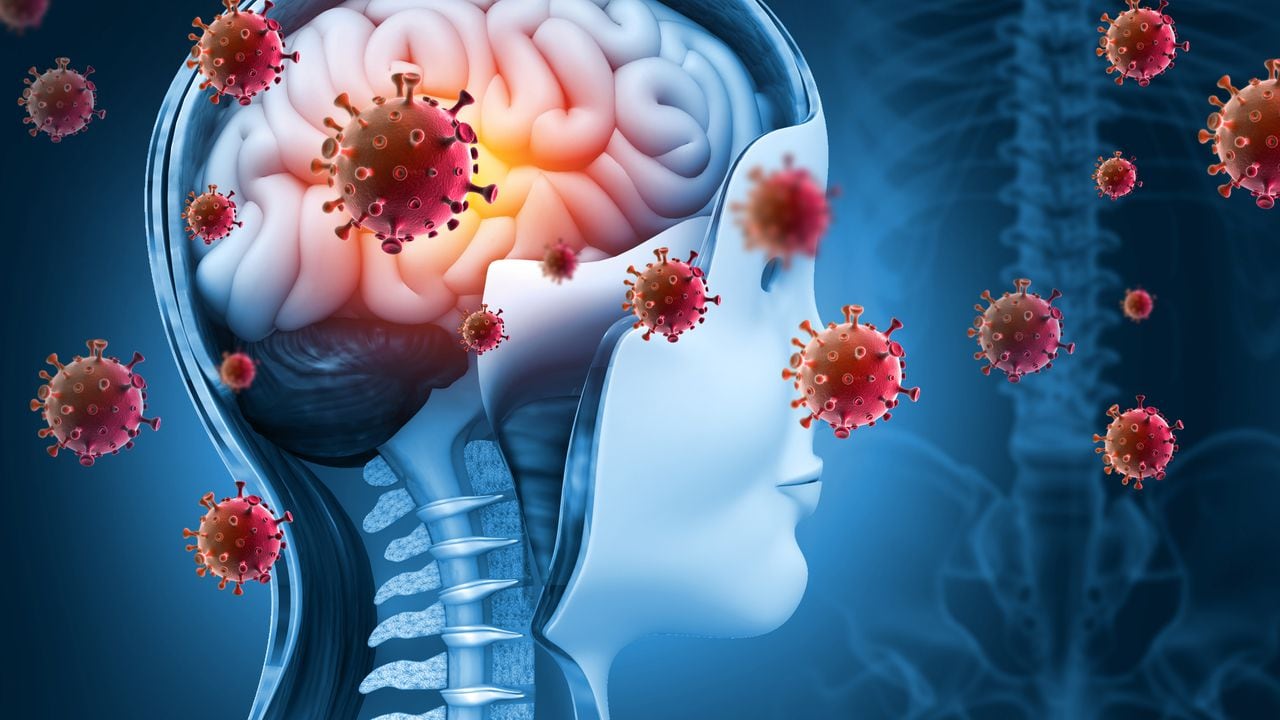Infección viral cerebral, meningitis viral y encefalitis. ilustración 3d