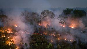 Hasta $24 billones de bienes podrían estar en riesgo con un calentamiento de 
2,5 °C.