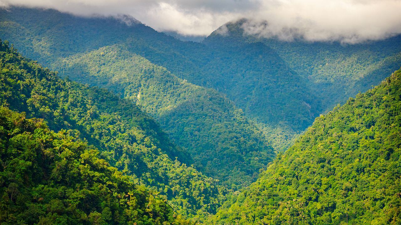 La Sierra Nevada de Santa Marta, en Colombia, en uno de los 18 lugares del mundo donde se proyecta regenerar los bosques.