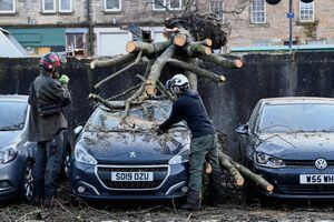 Tree surgeons remove a fallen tree from a car during Storm Isha in Linlithgow, West Lothian, Britain, January 22, 2024. REUTERS/Lesley Martin