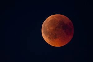 Luna de sangre, eclipse parcial de Luna el próximo 19 de noviembre