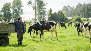 Con programas como la Vaca madrina la empresa trabaja para que el ciento por ciento de la leche provenga de la ganadería sostenible.