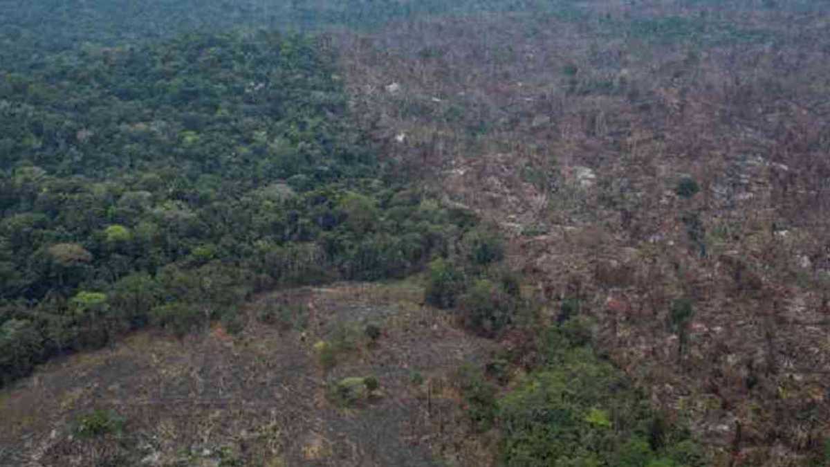Incendios y deforestación en la Amazonia brasileña. Foto: Greenpeace