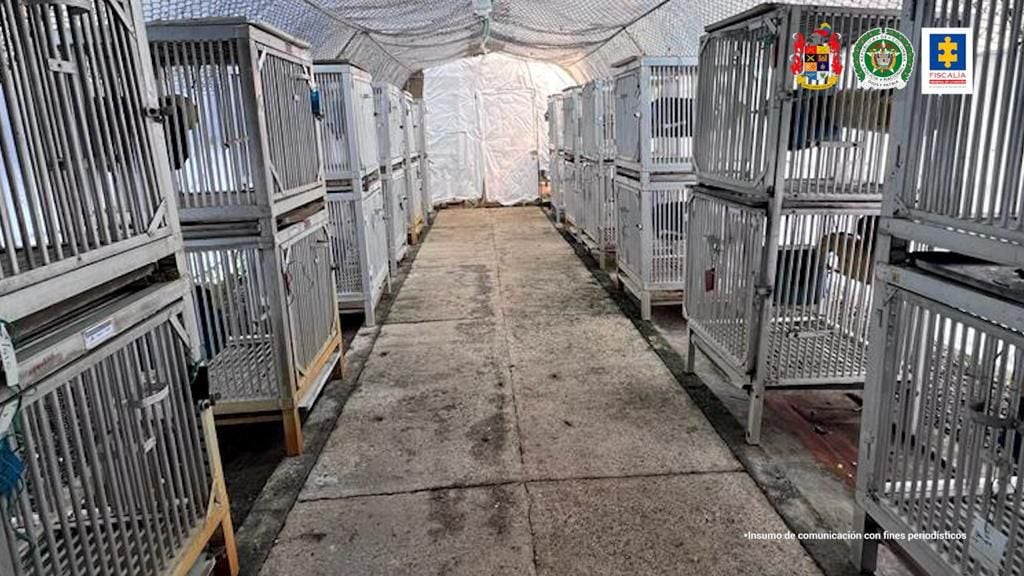 En estas jaulas fueron encontrados los 108 monos rescatados.