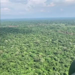 Deforestación en el Guaviare: siguen esfuerzos para frenarla - VERSION 1:1