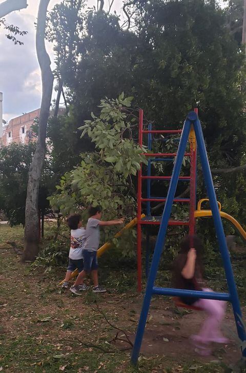 El árbol cayó sobre un parque infantil.