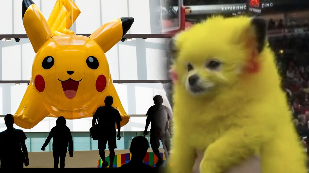Polémica despertó en Estados Unidos el caso de un perro pintado como Pokemón