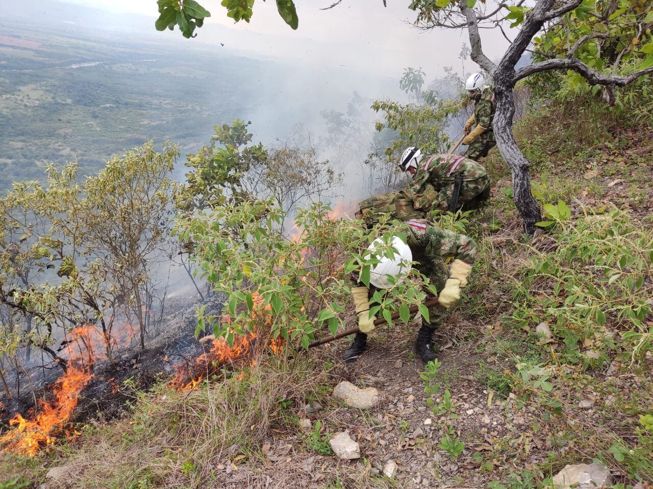Conflagraciones han consumido 500 hectáreas de cobertura vegetal.