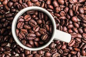 Se calcula que diariamente se consumen en el mundo 2.250 millones de tazas de café.