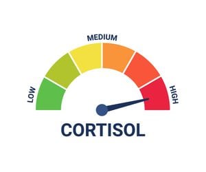 El cortisol es una hormona muy relacioanda con el estrés.