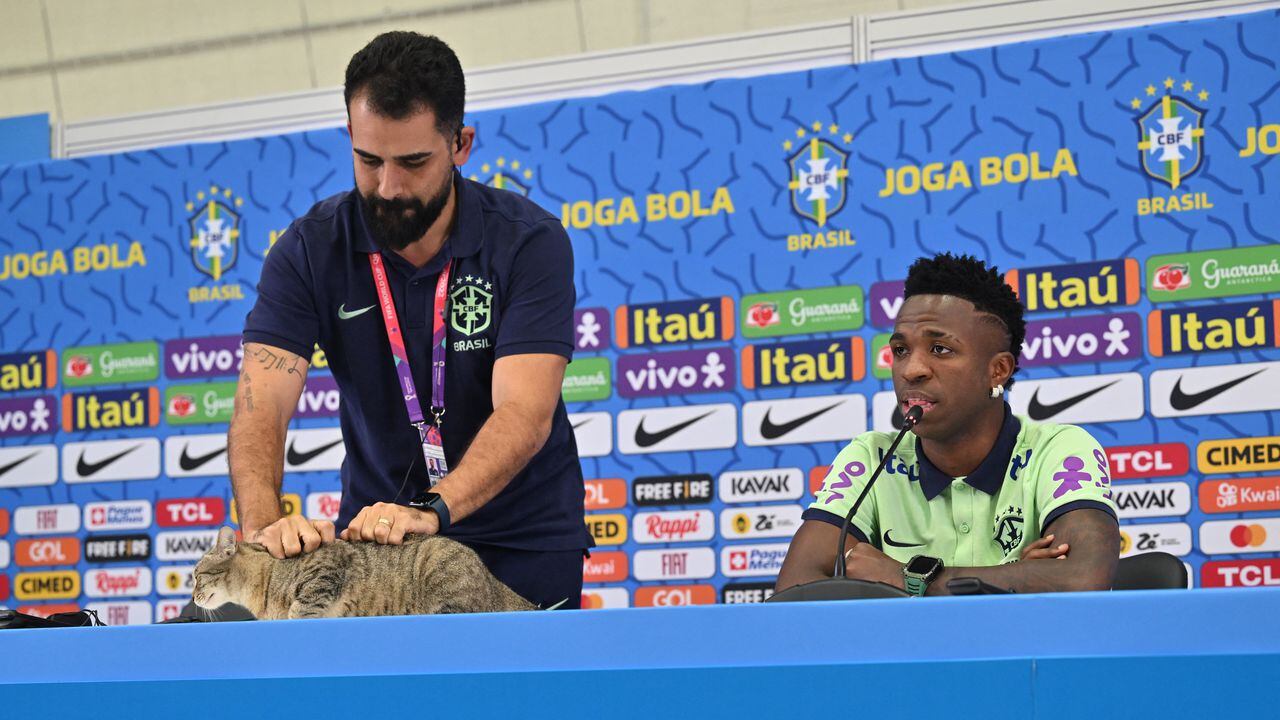 A team official grabs a cat to get it down from the conference table as Brazil's forward #20 Vinicius Junior speaks during a press conference at the Al Arabi SC Stadium in Doha on December 7, 2022, during the Qatar 2022 World Cup football tournament. - Brazil and Croatia will meet in one of the Qatar 2022 World Cup quarter-finals on December 9. (Photo by NELSON ALMEIDA / AFP)