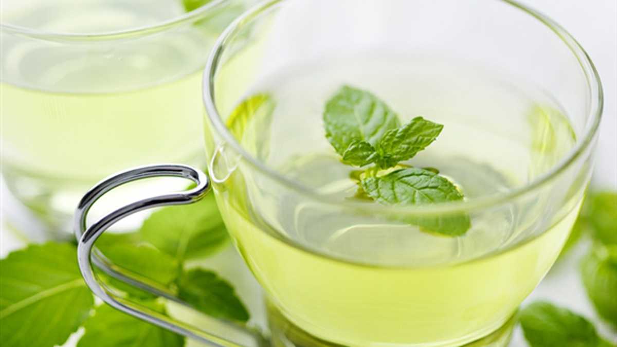 El té verde, al contener antioxidantes previene el daño celular y trastornos cerebrales. Foto: Pantherstock