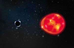 Ilustrciòn del agujero negro Unicornio y la gigante roja a la que está emparejado
LAUREN FANFER
22/4/2021
