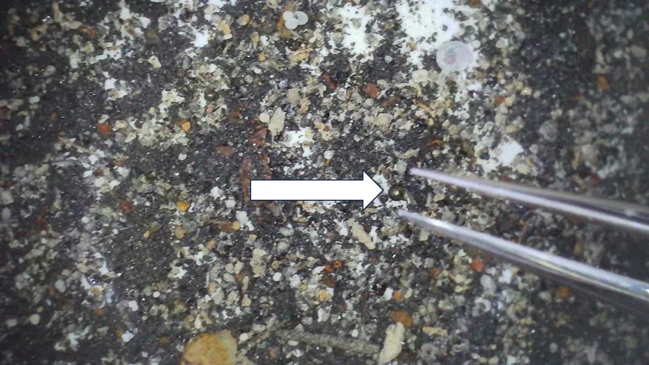 En el material recolectado, se halló una esférula rica en hierro de 0,4 milímetros de diámetro.