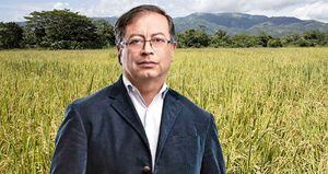 El presidente electo Gustavo Petro ha prometido una reforma de fondo en el agro.
