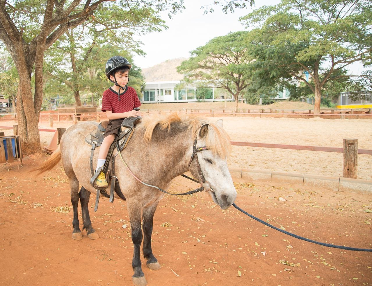 Pequeño niño montando caballo de entrenamiento