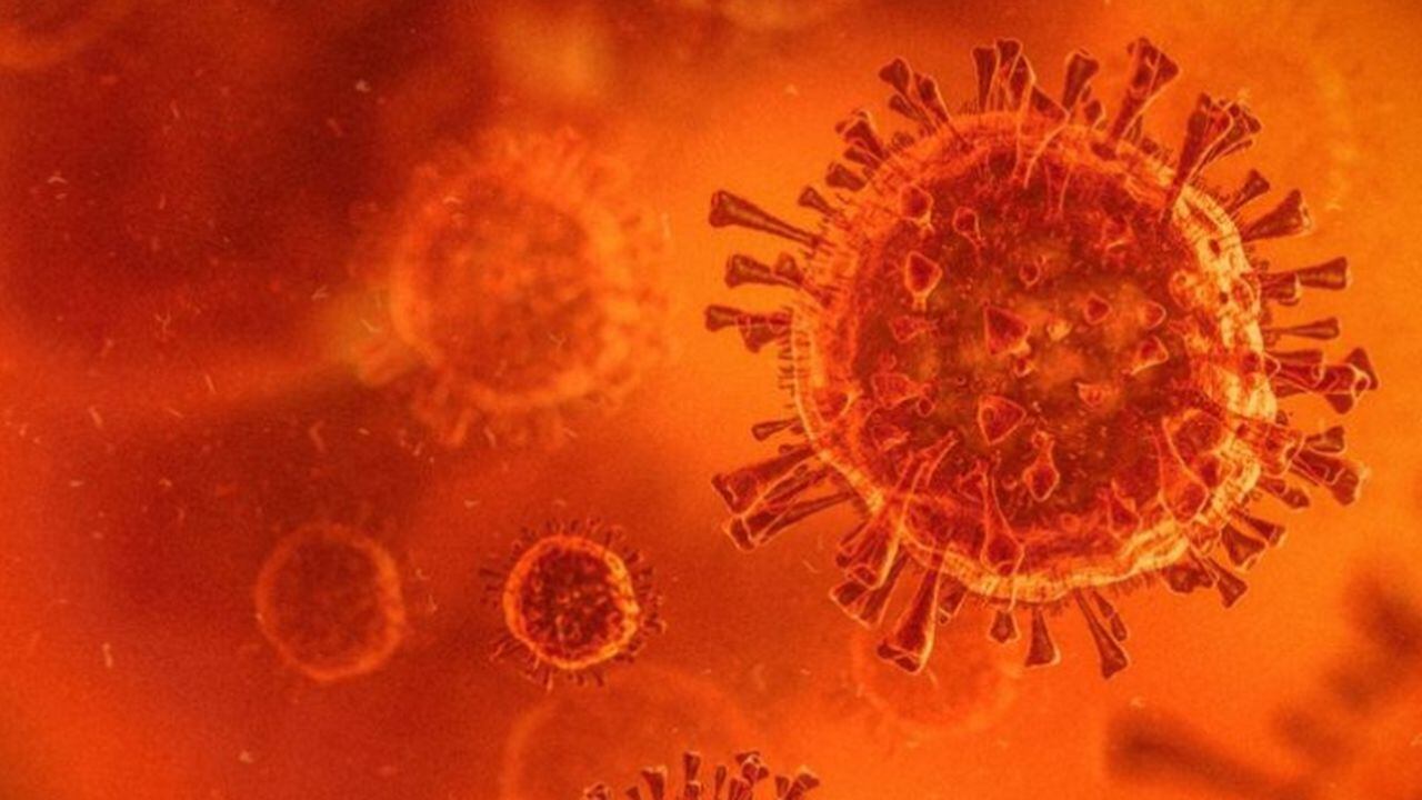 En la variante de Manaos se produjeron cambios en los genes que codifican en los genes que condifican la espícula, la estructura en la superficie del virus que le permite invadir las células de nuestro cuerpo.