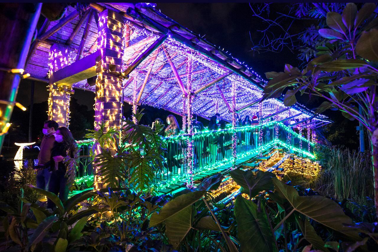 Noche de velitas en Jardin Botanico inicio de navidad