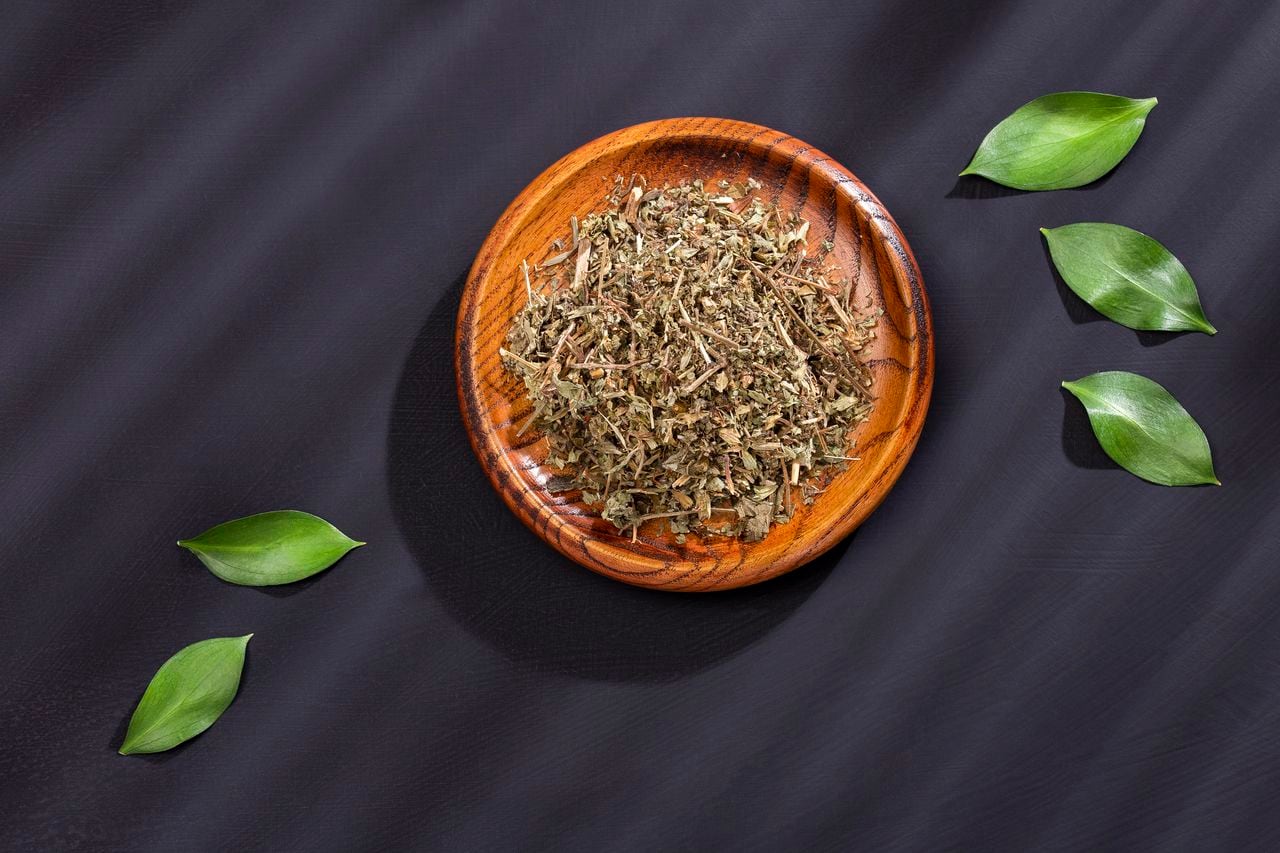 Phyllanthus niruri - stone chanca. Medicinal plant