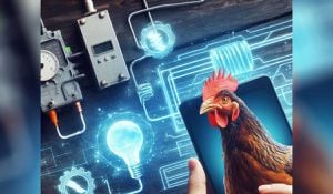 Científicos trabajan en un sistema para generar electricidad limpia usando plumas de pollo.