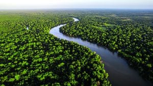 Esfuerzos para detener la deforestación de la Amazonía.