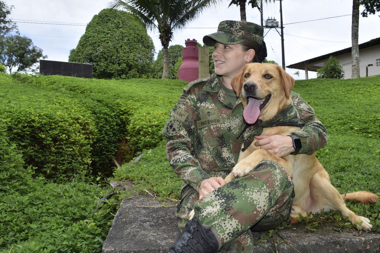 Igor, canino del Ejército Nacional