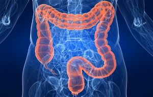 Colon irritable, foto: thinkstock