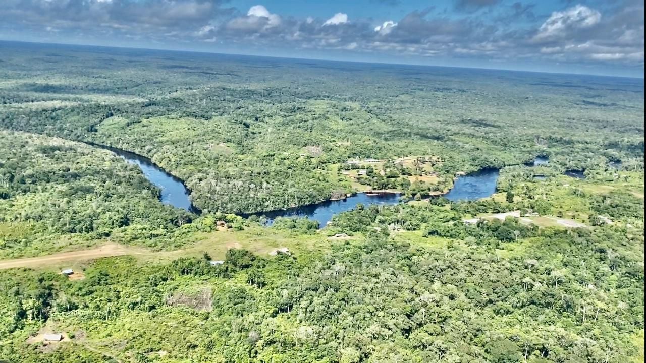 Selva de Guaviare, donde habita la comunidad  indígena Makuna