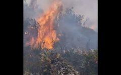 Reportan incendio forestal en páramo en Lenguazaque, Cundinamarca