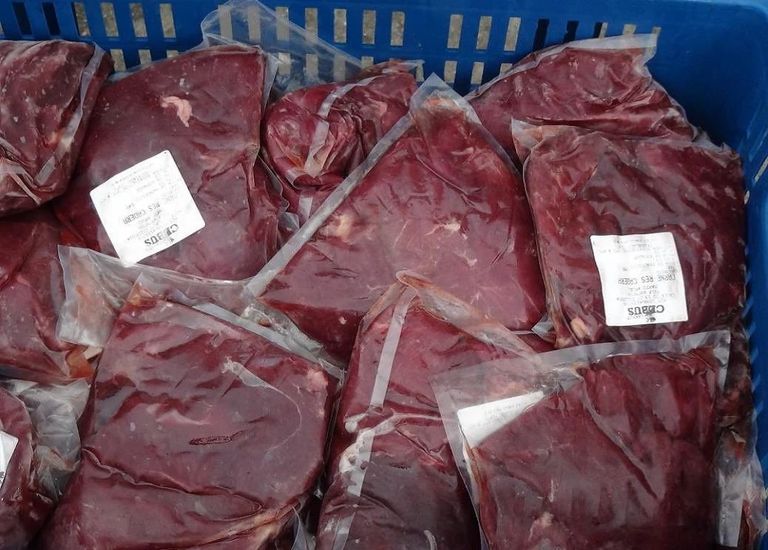 Procuraduría investiga a supervisora del PAE en La ceja Antioquia por carne de caballo en los platos de los niños.