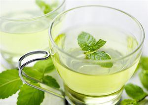 El té verde: Sus propiedades neuroprotectoras evitan el envejecimiento cerebral.  Foto: Pantherstock