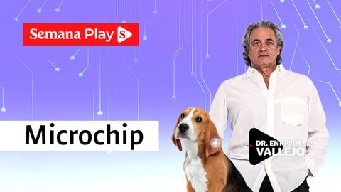 Microchip | Enrique Vallejo en Salud Animal